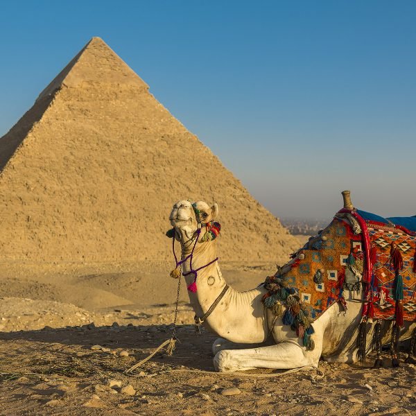 Giza_Pyramids_with_camel